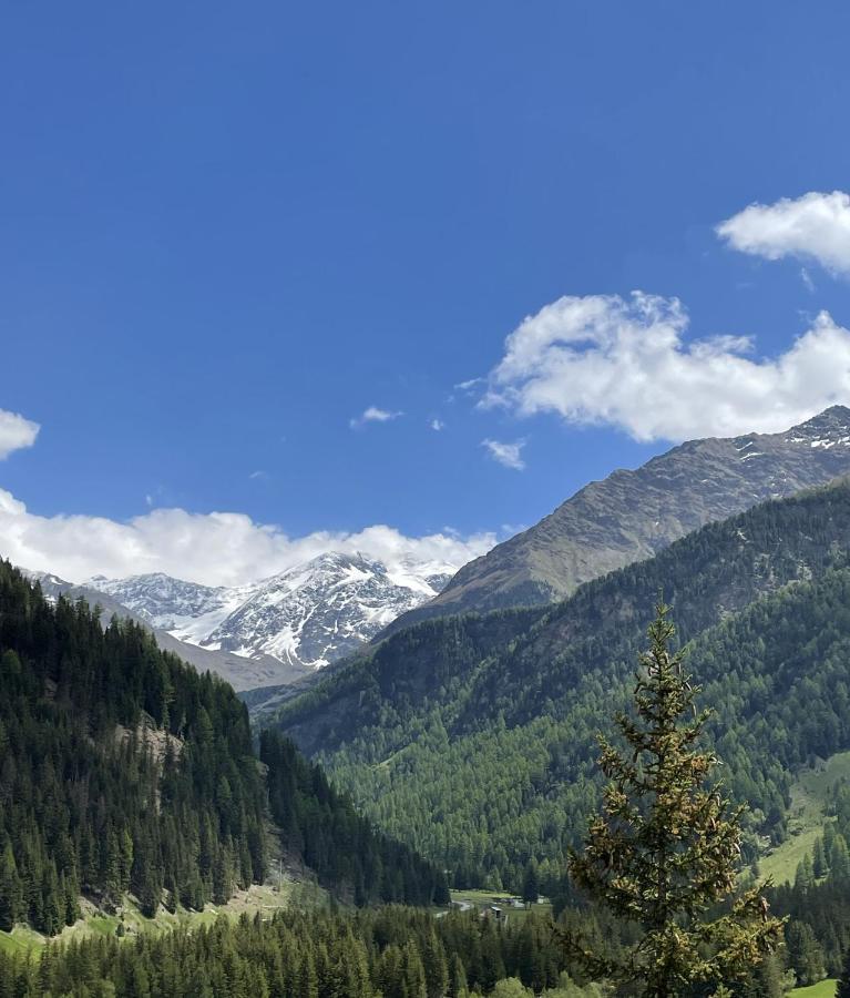 Residence Regina Delle Alpi Santa Caterina Valfurva Zewnętrze zdjęcie